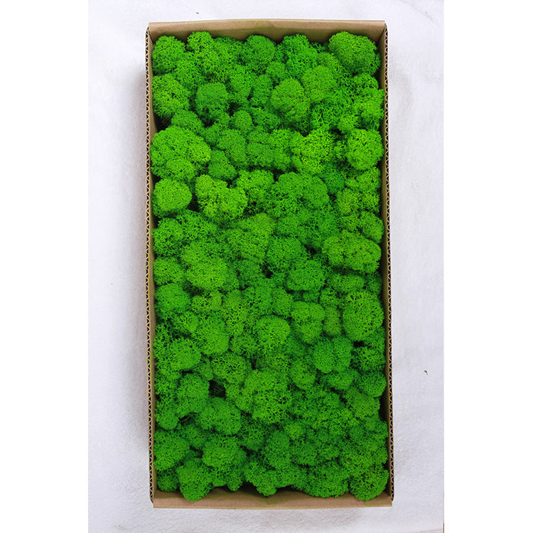A mossy plant wall landscaping mossy window interior decoration micro landscape immortal flower mossy