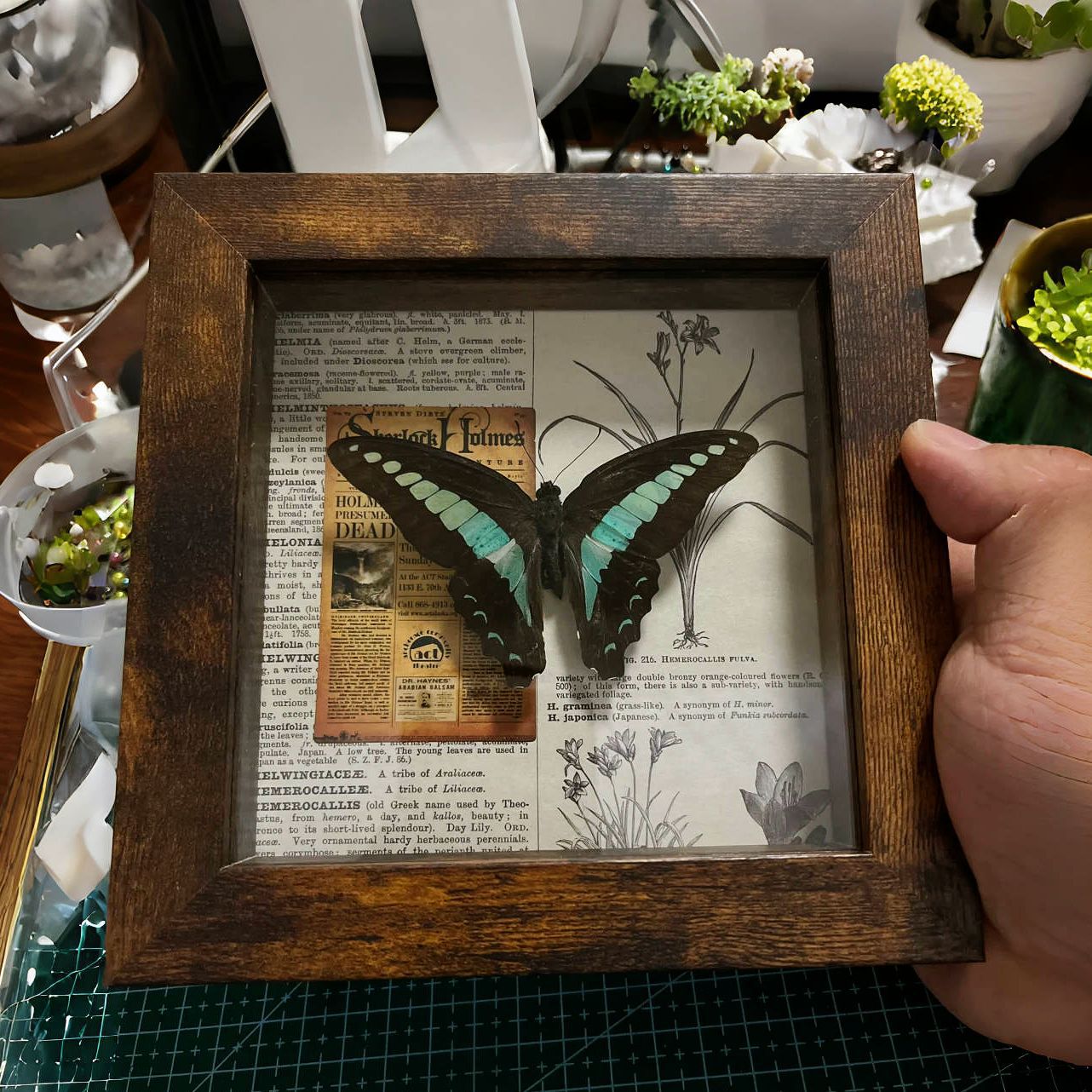 A retro three-dimensional hollow photo frame butterfly insect shell plant specimen frame advanced sense table self-mounting display frame