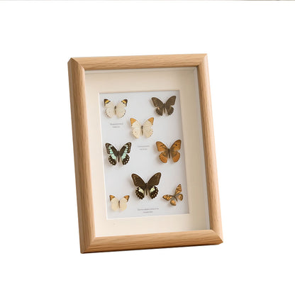 A wood hollow three-dimensional photo frame real butterfly specimen frame DIY handmade insect plant immortal specimen picture frame ornament