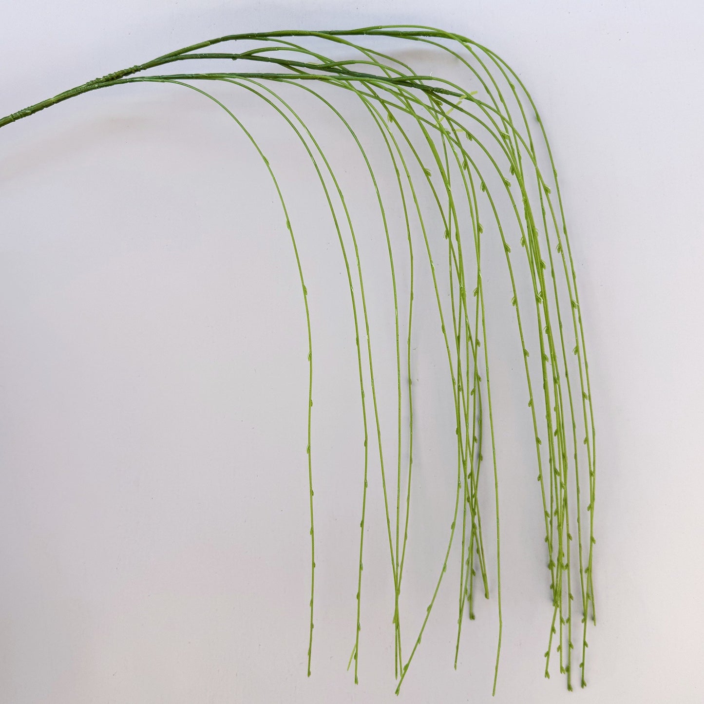 A Mori Monet Garden Simulation Flower Wedding Flower Reed < unk > Grass Fluffy Eucalyptus Green Simulation Flower