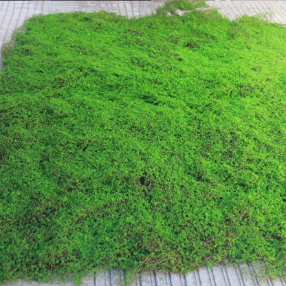 A Plant wall simulation moss green false moss moss micro landscape bonsai landscaping decorative material lawn turf