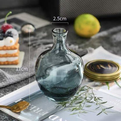 A Nordic simple and creative mini vase ins wind glass water flower cultivator living room desktop decoration small ornament