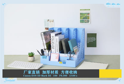 A file rack organizer