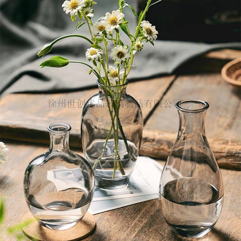 A Nordic simple and creative mini vase ins wind glass water flower cultivator living room desktop decoration small ornament