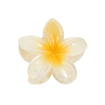 A egg flower hairpin gradual change Bauhinia back head grab clip temperament shark clip