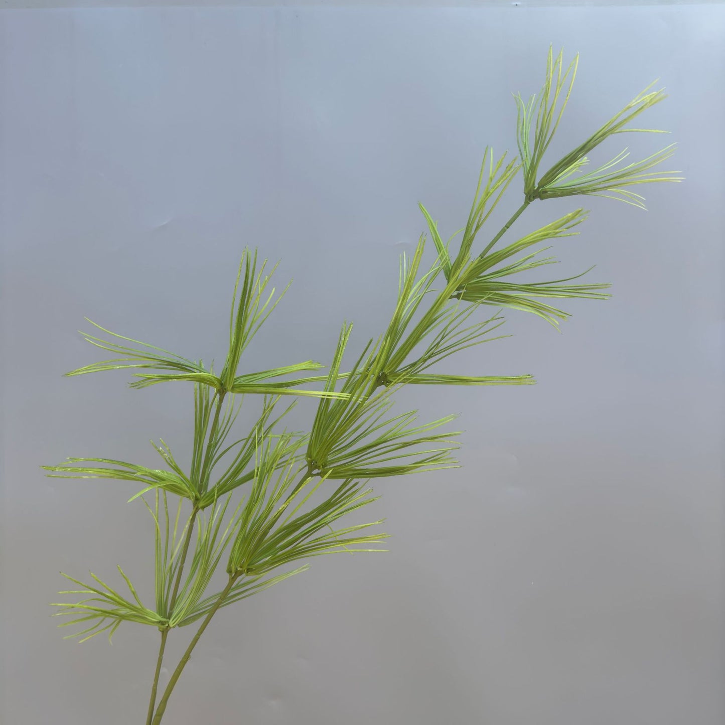 A Mori Monet Garden Simulation Flower Wedding Flower Reed < unk > Grass Fluffy Eucalyptus Green Simulation Flower