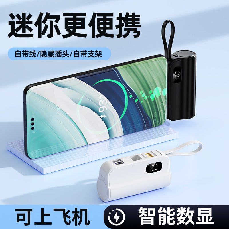 A mini capsule power bank with dual plugs mobile power supply