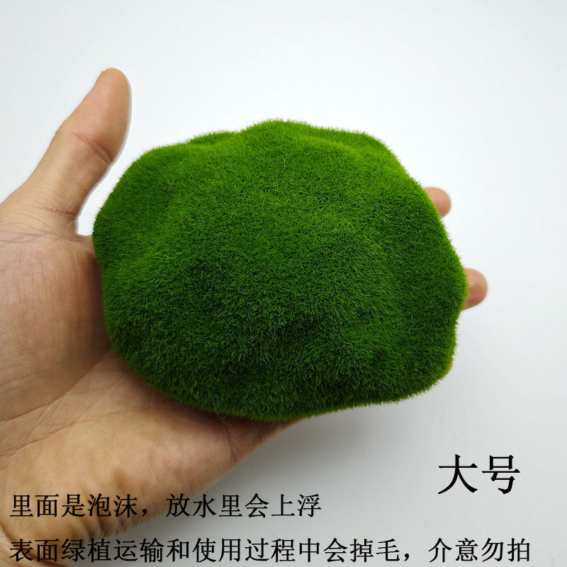 A plant stone model