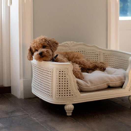 A solid wood pet bed