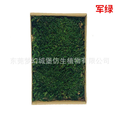 A mossy plant wall landscaping mossy window interior decoration micro landscape immortal flower mossy