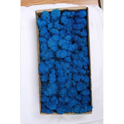 A mossy plant wall landscaping mossy window interior decoration micro landscape immortal flower mossy