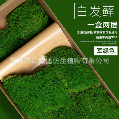 A mossy plant wall landscaping mossy window interior decoration micro landscape immortal flower mossy