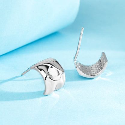 A S925 Sterling Silver Earrings