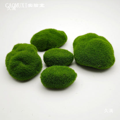 A plant stone model