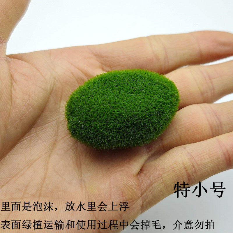 A plant stone model