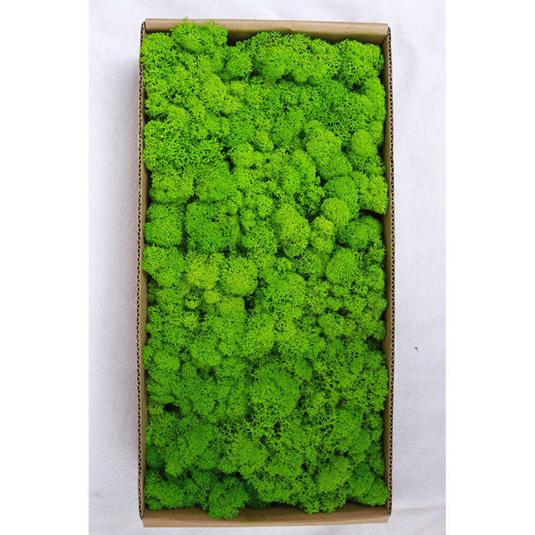 A mossy plant wall landscaping mossy window interior decoration micro landscape immortal flower mossy