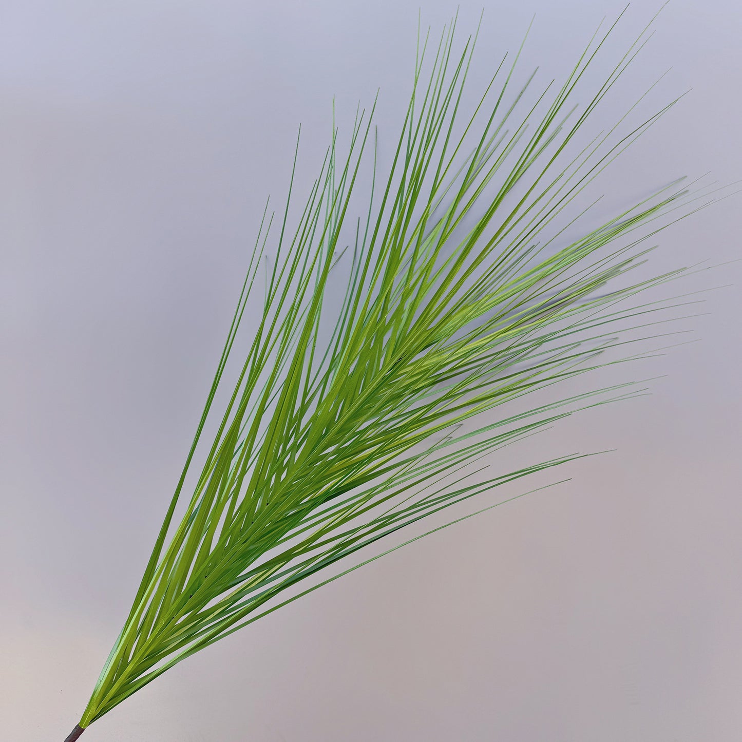 A Mori Monet Garden Simulation Flower Wedding Flower Reed < unk > Grass Fluffy Eucalyptus Green Simulation Flower