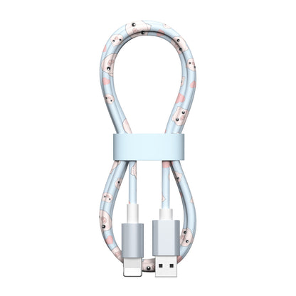 A charging data cable cute set