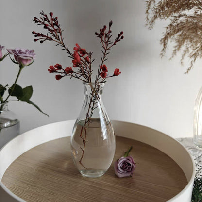 A Nordic simple and creative mini vase ins wind glass water flower cultivator living room desktop decoration small ornament