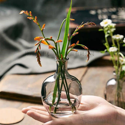 A Nordic simple and creative mini vase ins wind glass water flower cultivator living room desktop decoration small ornament