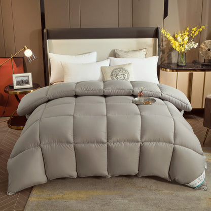 A cotton quilt winter quilt