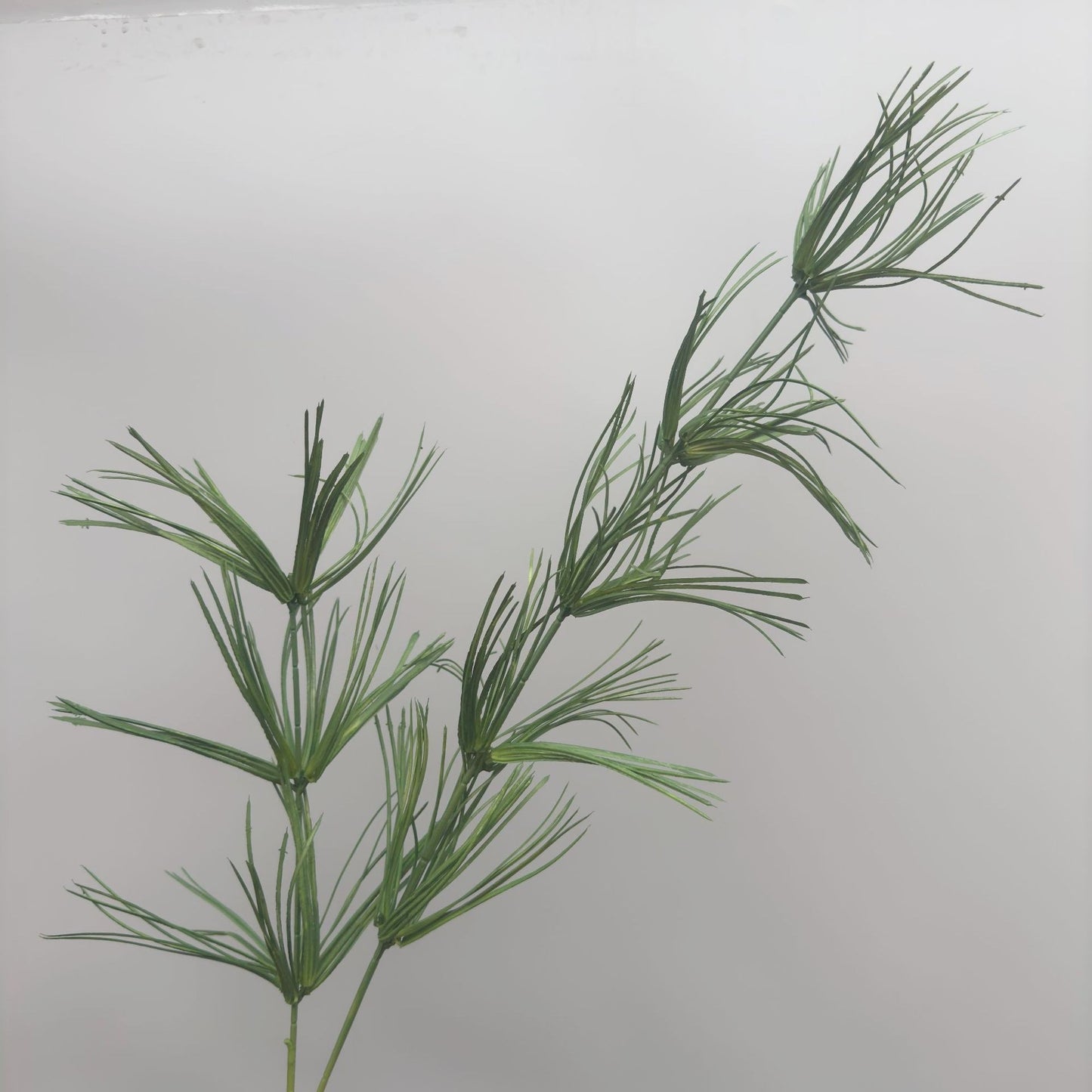 A Mori Monet Garden Simulation Flower Wedding Flower Reed < unk > Grass Fluffy Eucalyptus Green Simulation Flower