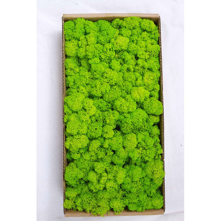A mossy plant wall landscaping mossy window interior decoration micro landscape immortal flower mossy