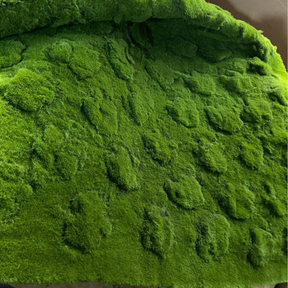 A Plant wall simulation moss green false moss moss micro landscape bonsai landscaping decorative material lawn turf