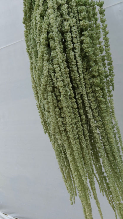 A dried flower eternal flower hanging rice