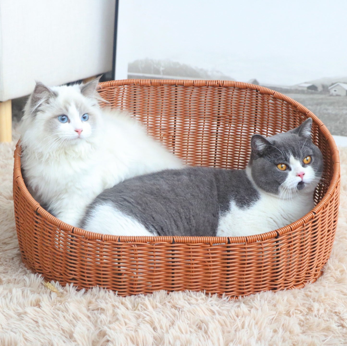 A dog and cat rattan pet nest