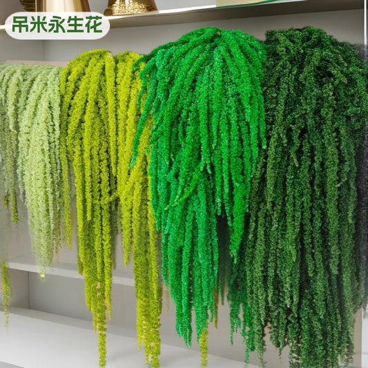 A dried flower eternal flower hanging rice