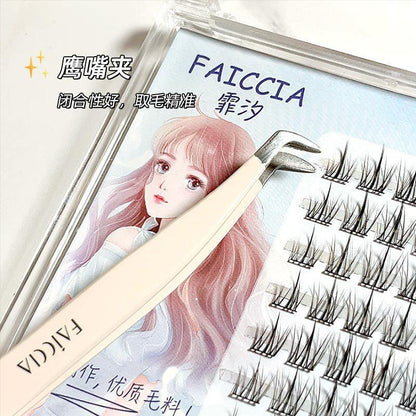 A Beauty Tweezers Tool