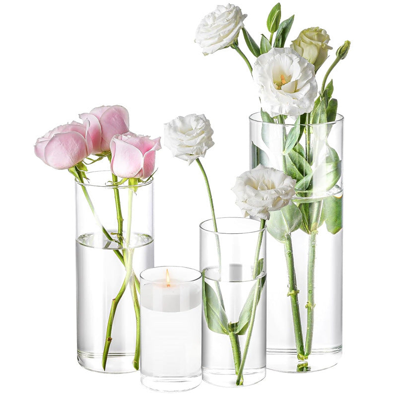 A straight glass vase plant container fish tank ornament