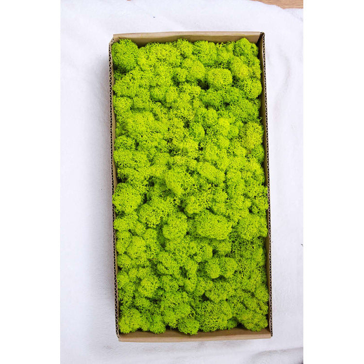 A mossy plant wall landscaping mossy window interior decoration micro landscape immortal flower mossy