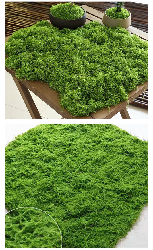 A simulated moss moss gardening plant wall DIY
