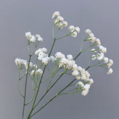 A Mori Monet Garden Simulation Flower Wedding Flower Reed < unk > Grass Fluffy Eucalyptus Green Simulation Flower