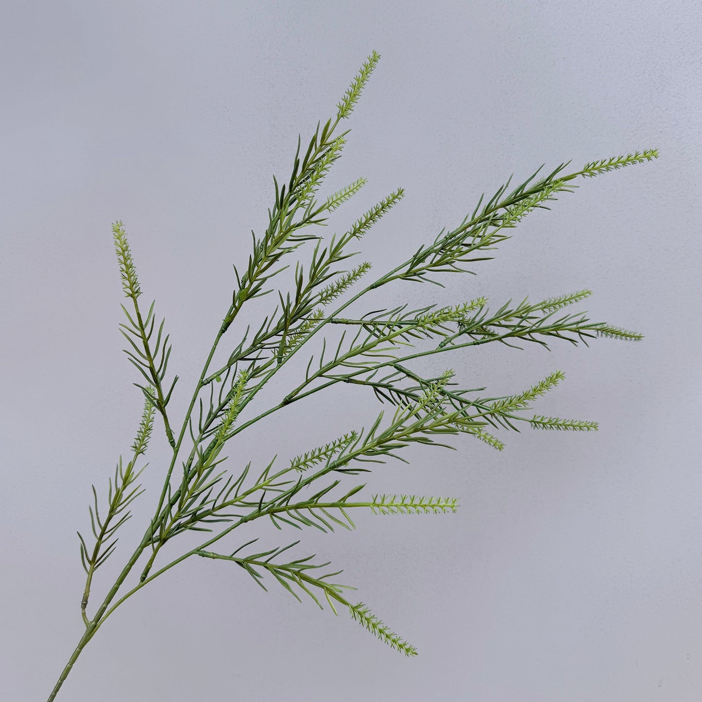 A Mori Monet Garden Simulation Flower Wedding Flower Reed < unk > Grass Fluffy Eucalyptus Green Simulation Flower