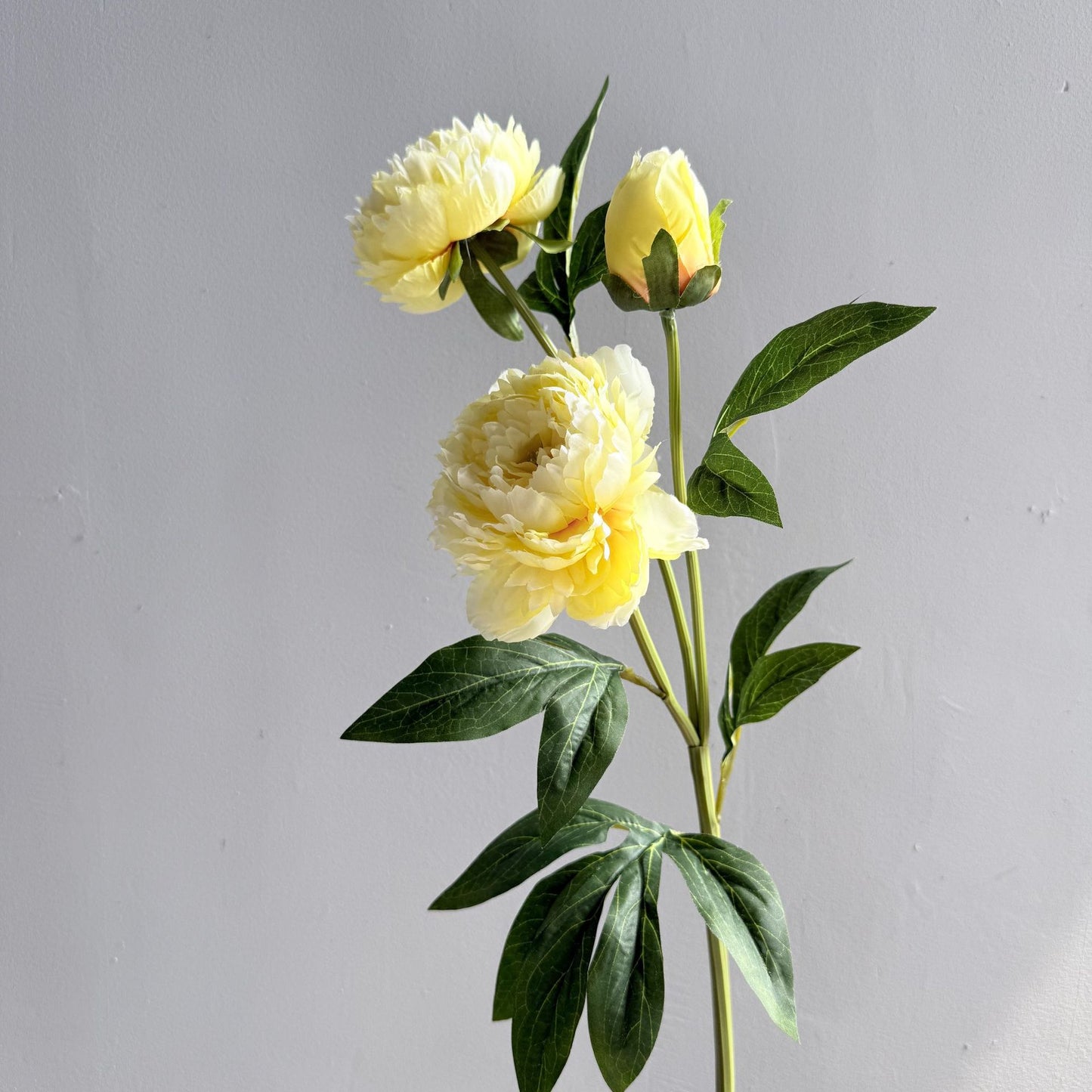 A high-quality simulated three-headed peony, peony home decoration