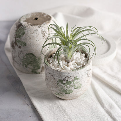 A Old Craft Cement Flower Pot Planting Utensils