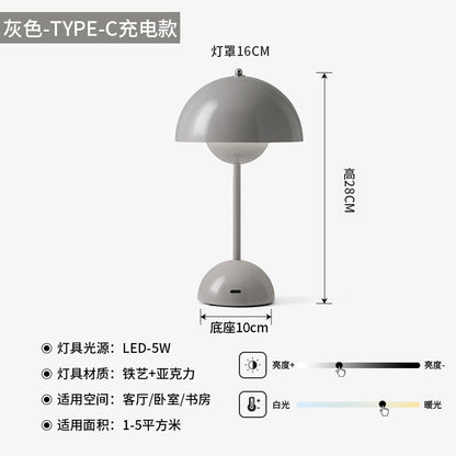 A USB charging lamp