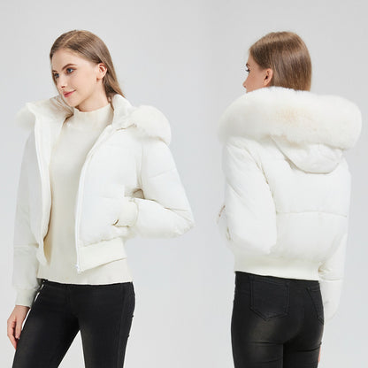 A lady's winter coat