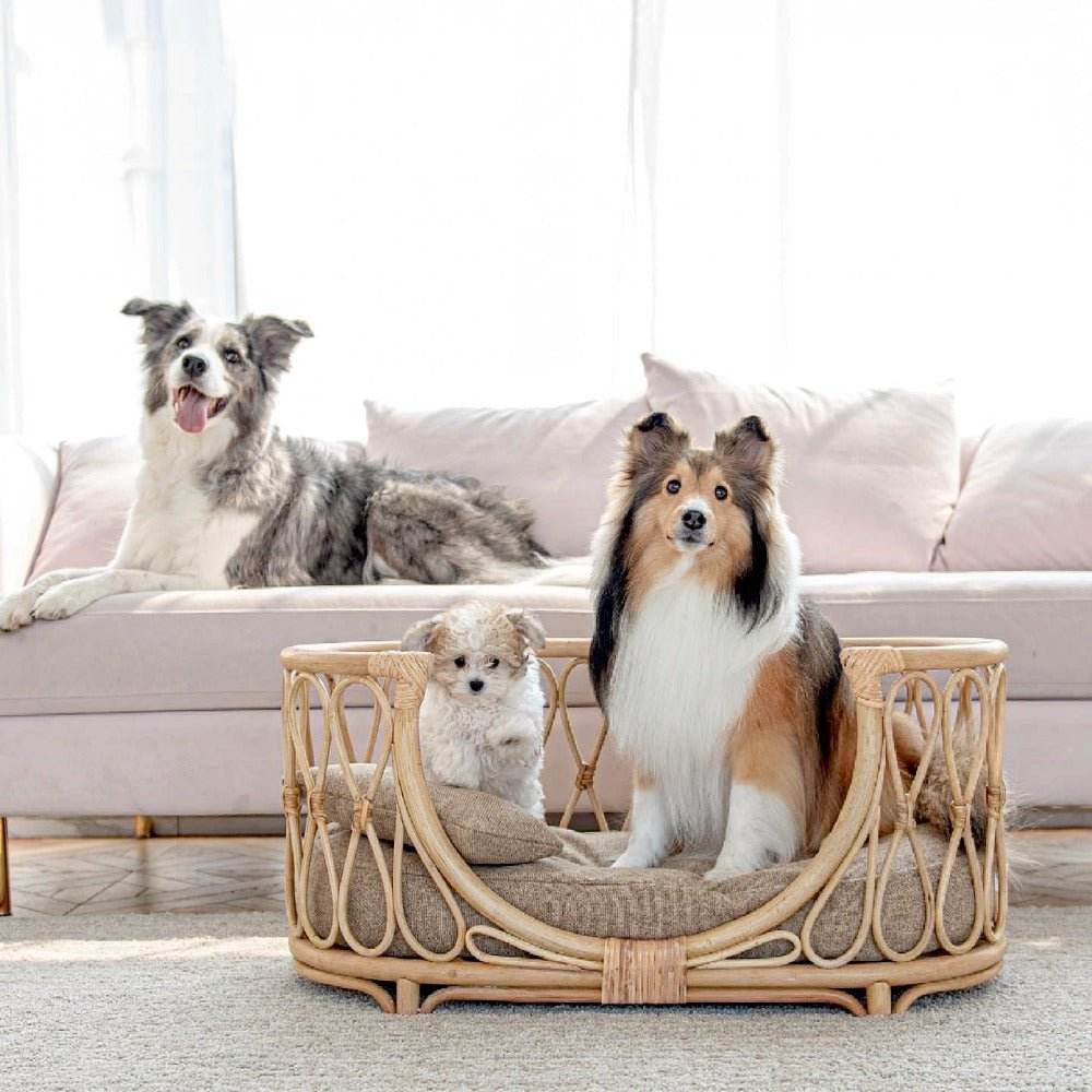 A rattan pet bed
