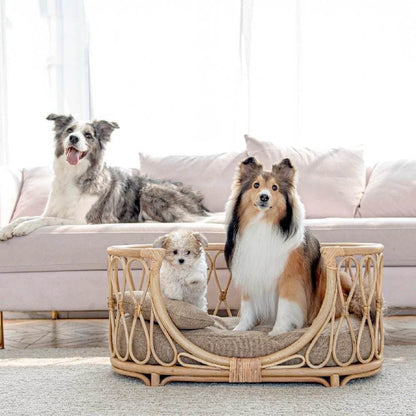 A rattan pet bed