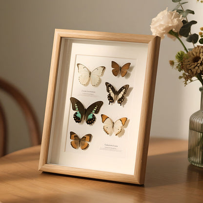A wood hollow three-dimensional photo frame real butterfly specimen frame DIY handmade insect plant immortal specimen picture frame ornament