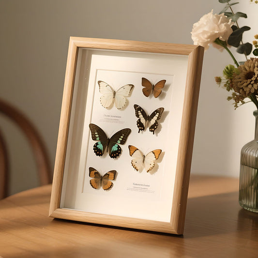 A wood hollow three-dimensional photo frame real butterfly specimen frame DIY handmade insect plant immortal specimen picture frame ornament