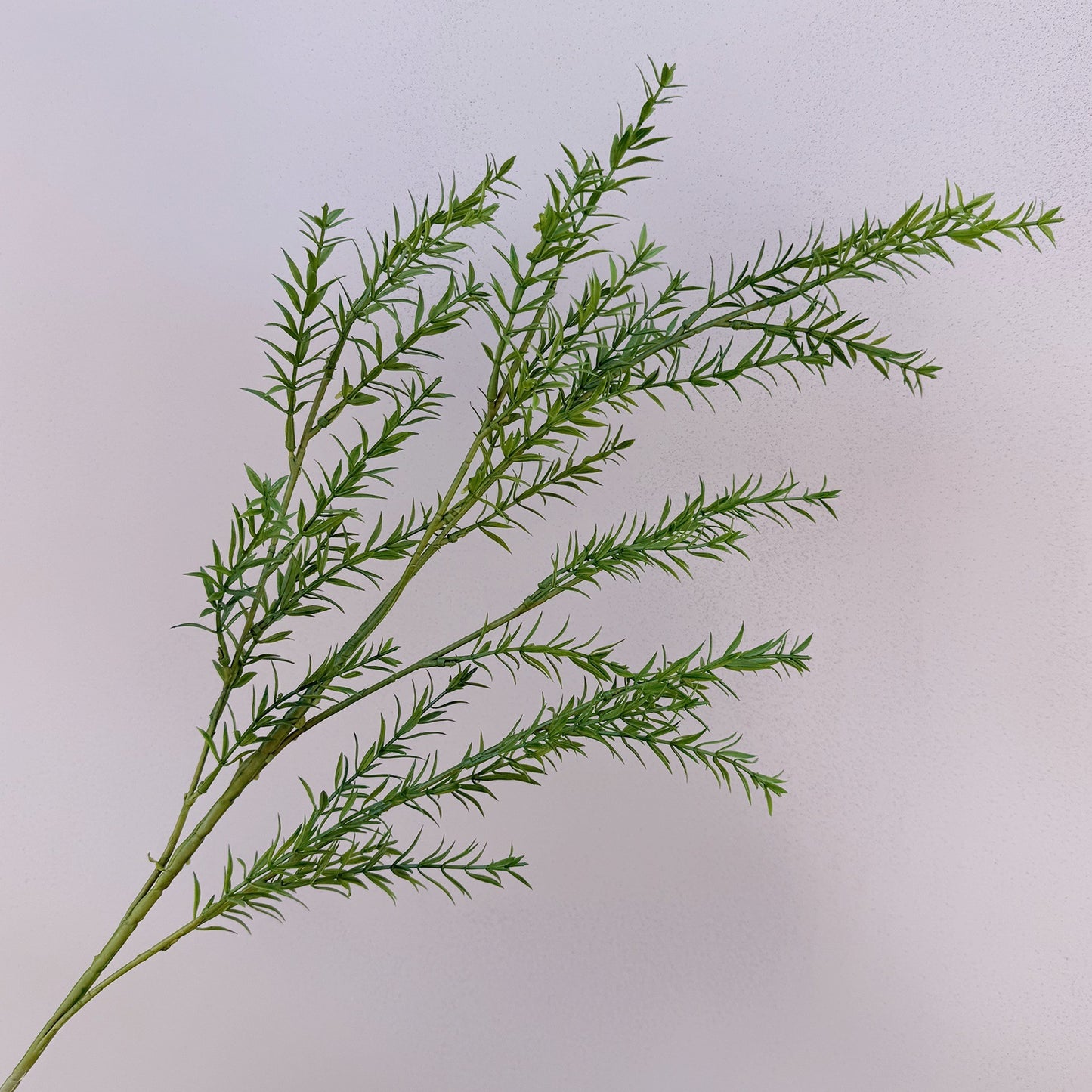 A Mori Monet Garden Simulation Flower Wedding Flower Reed < unk > Grass Fluffy Eucalyptus Green Simulation Flower