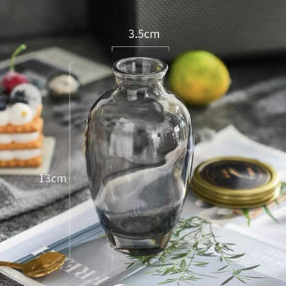 A Nordic simple and creative mini vase ins wind glass water flower cultivator living room desktop decoration small ornament