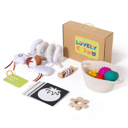 A Baby Early Education Educational Wooden Toys Montessori Teaching Multifunctional Hands-on Brain Shape Cognition Set