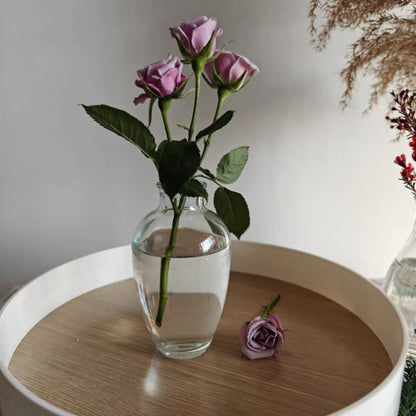 A Nordic simple and creative mini vase ins wind glass water flower cultivator living room desktop decoration small ornament