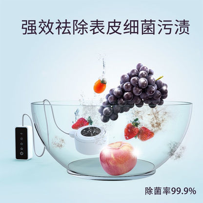 A ultrasonic purifier